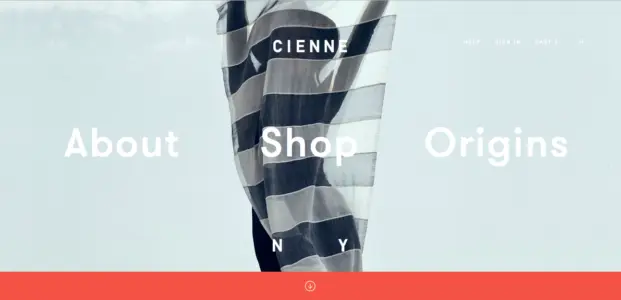 Cienne NY