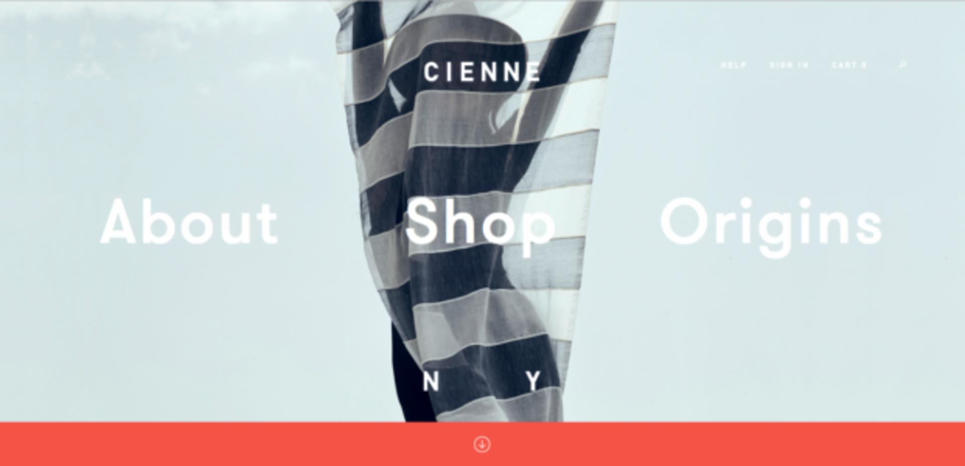 Cienne NY