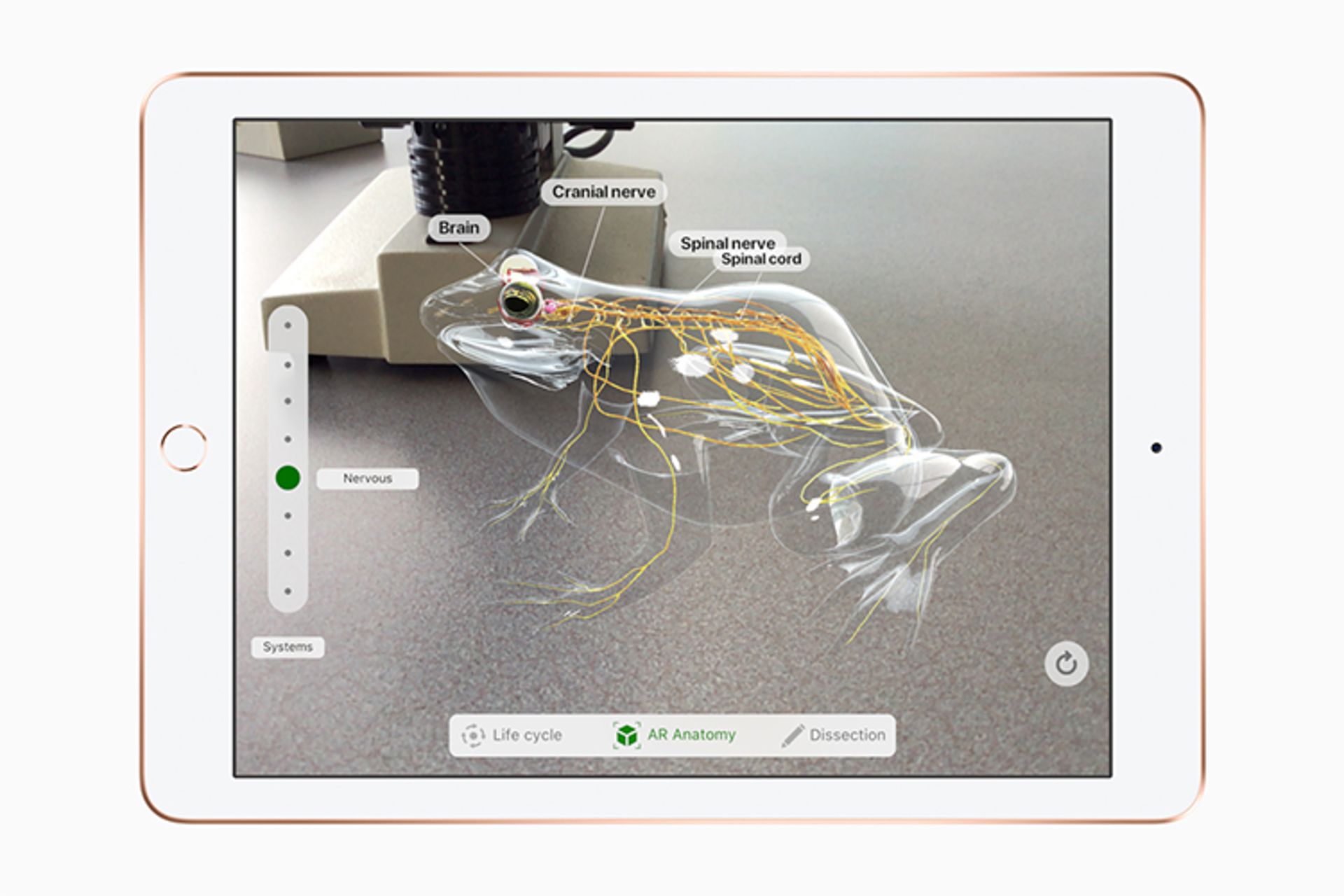 iPad 9.7 / آیپد 9.7