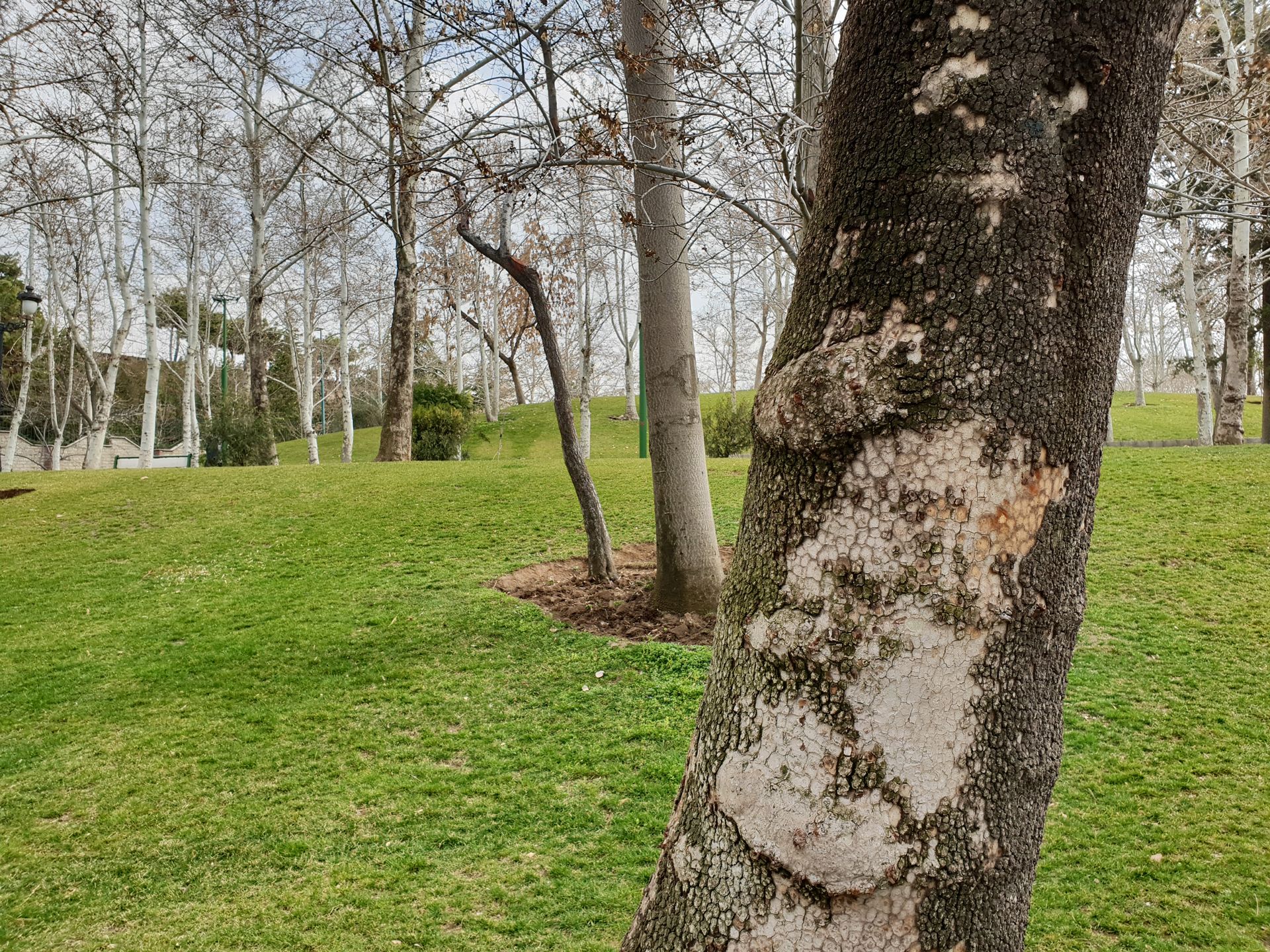 نمونه‌ی تصاویر گلکسی اس ۹ و اس ۹ پلاس