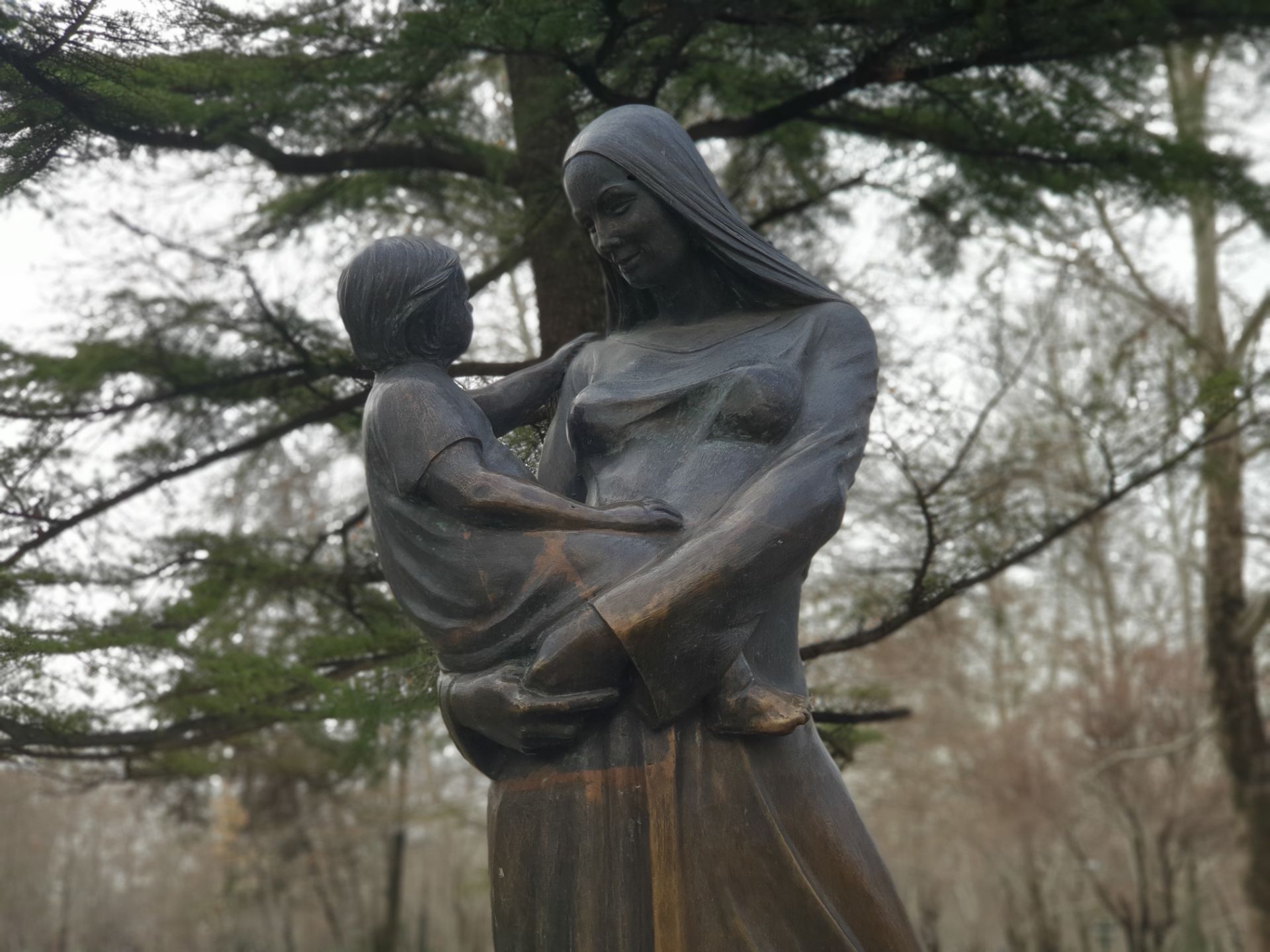 نمونه‌ی تصویر گلکسی اس ۹ پلاس با افکت بوکه