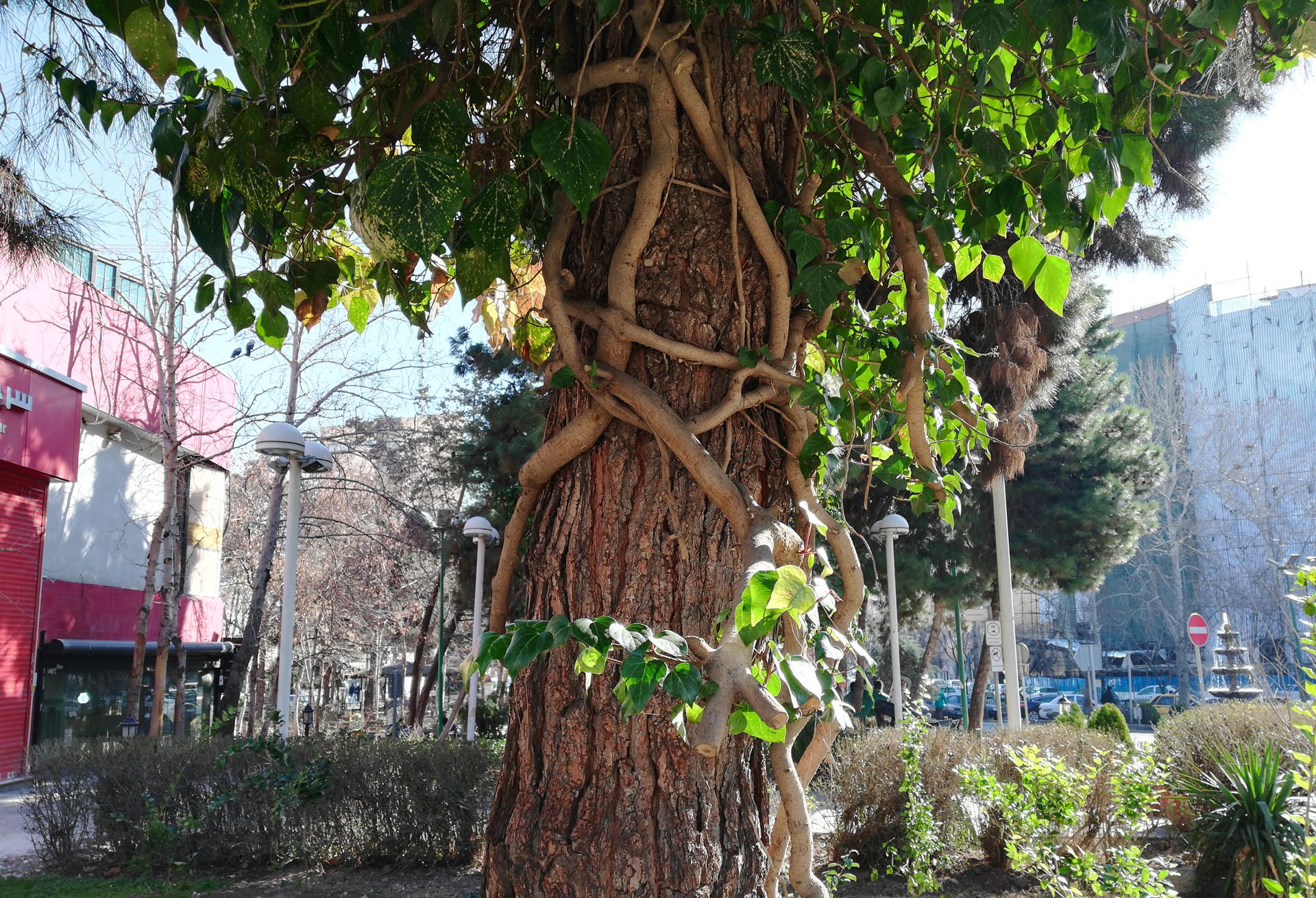 آنر ۷ ایکس هواوی/huawei Honor 7x