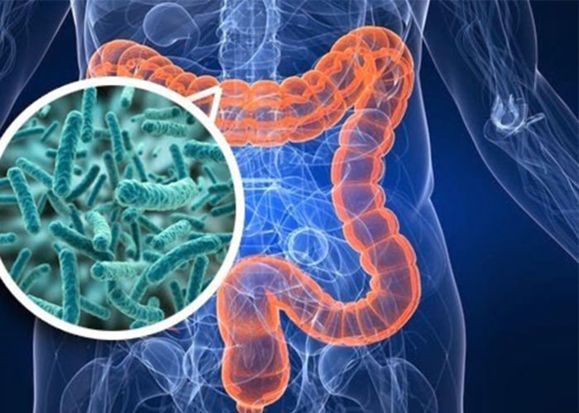 میکروب های در دستگاه گوارش