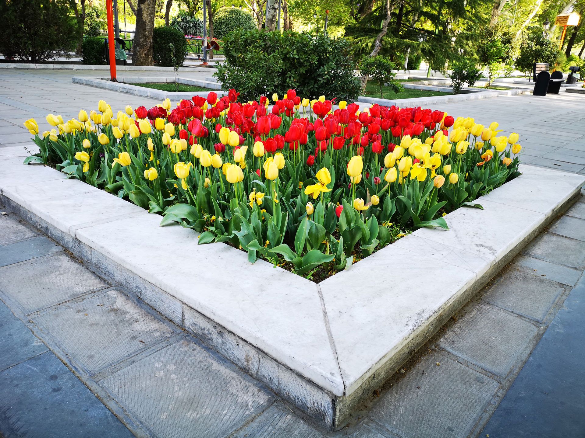 نمونه‌ی تصاویر ثبت‌شده با هواوی P20 Pro