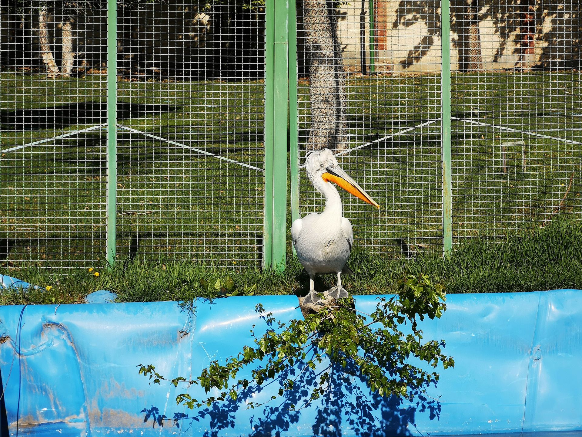 نمونه‌ی تصاویر ثبت‌شده با هواوی P20 Pro