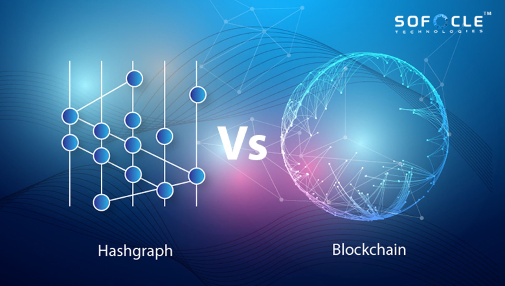 هشگرف و بلاک چین
