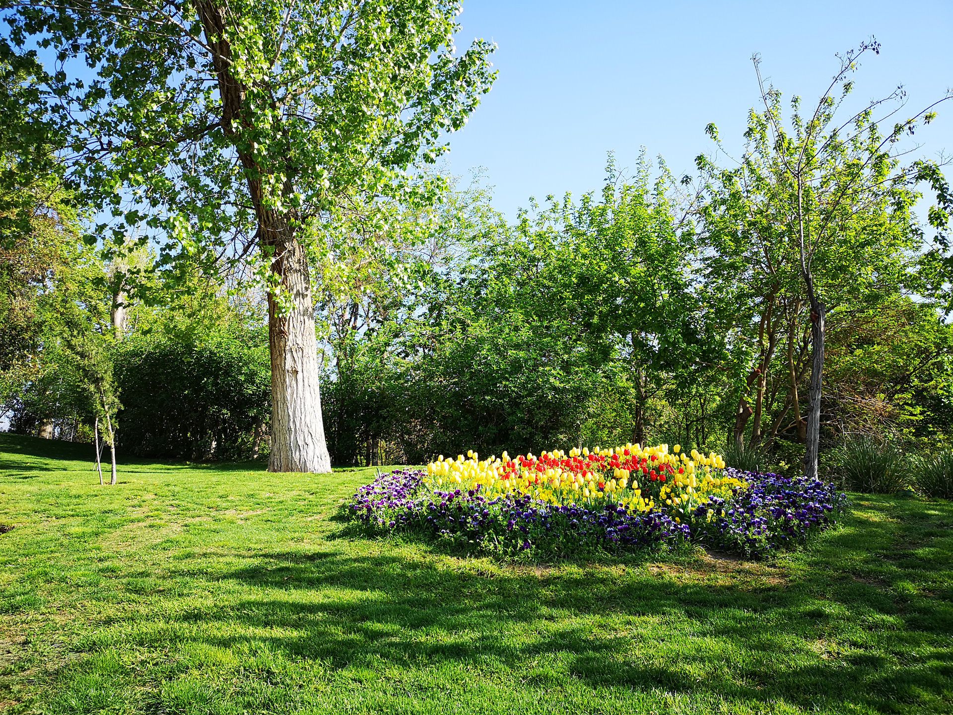 نمونه‌ی تصاویر ثبت‌شده با هواوی P20 Pro