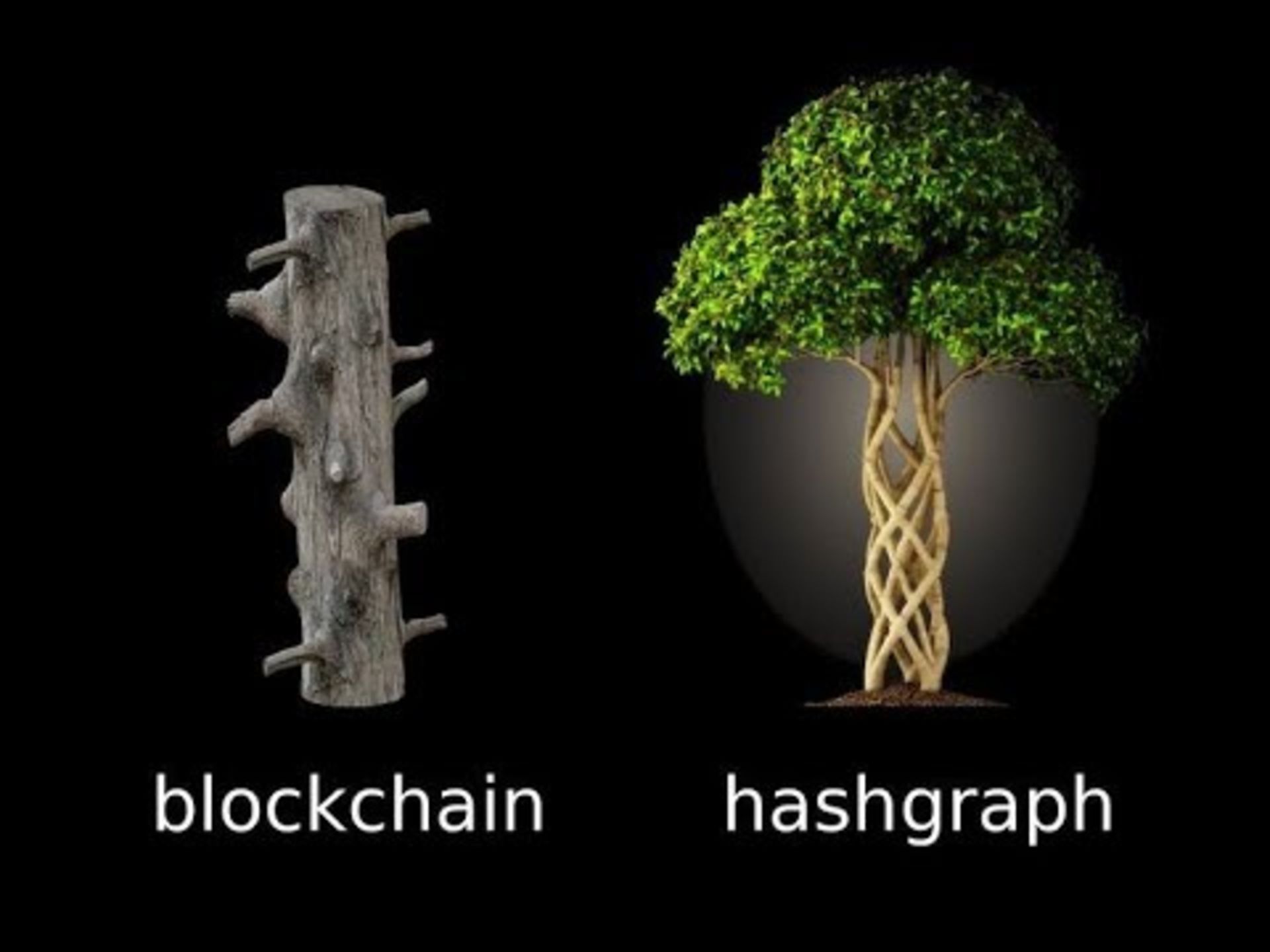 هشگرف و بلاک چین