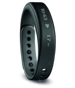 گارمین vivosmart-3