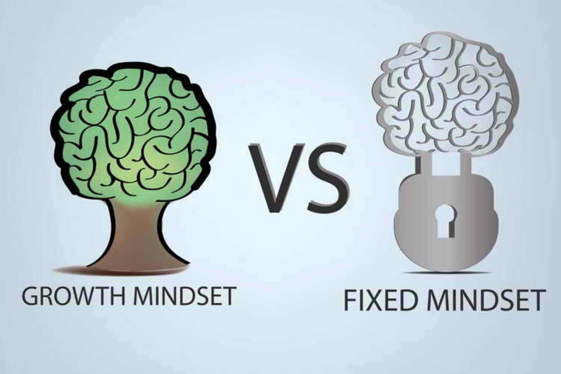 Fixed mindset