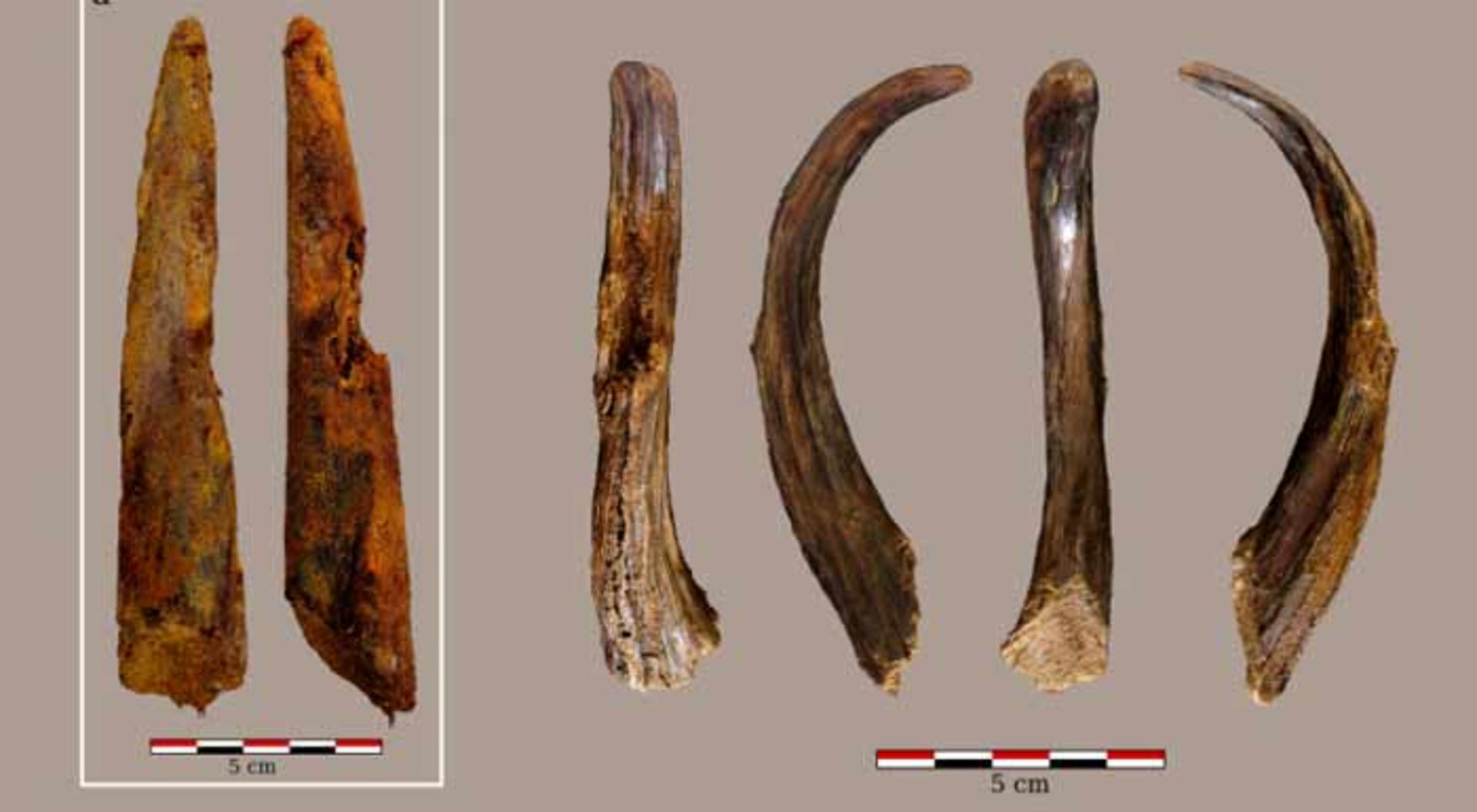 ابزاهای چوبی نئاندرتال‌ها 