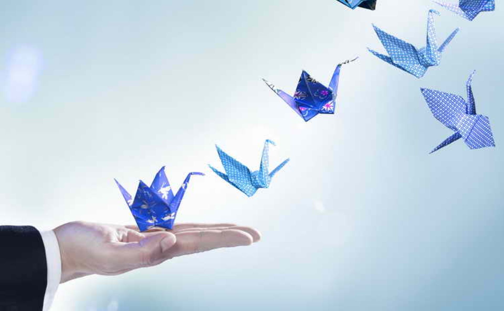 Celebrate The Success of Others