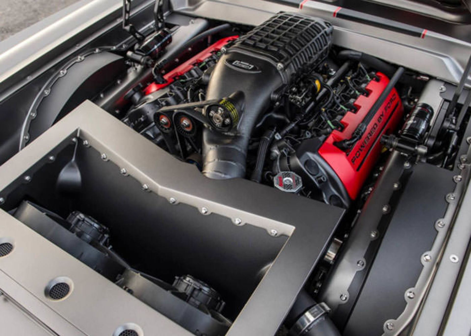 فورد ویشس موستانگ 1965 / Ford Vicious Mustang 1965