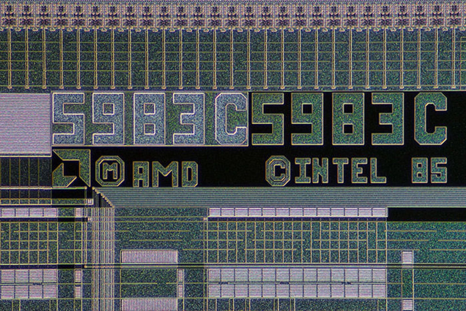 amd