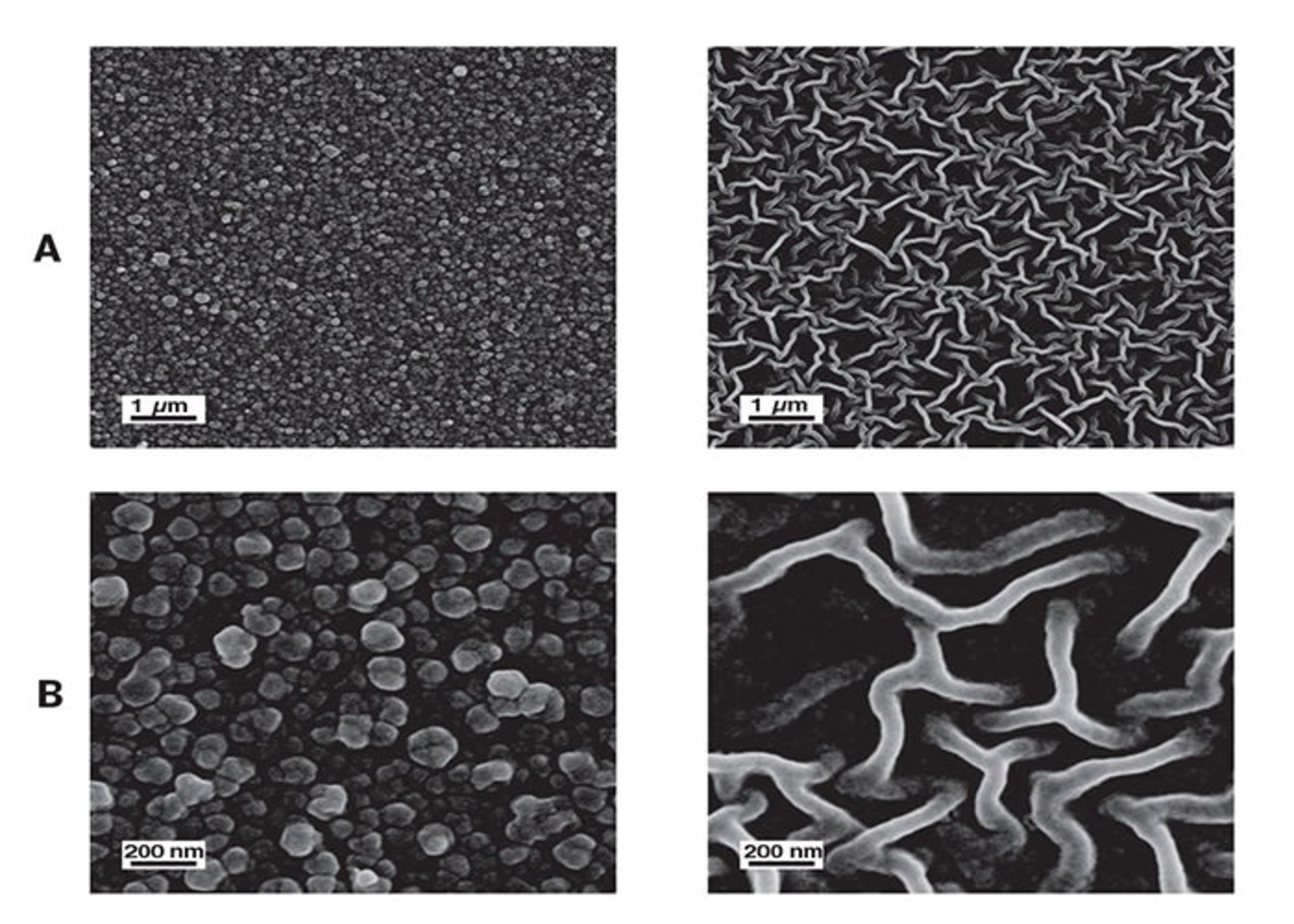 فیلتر تورینگ