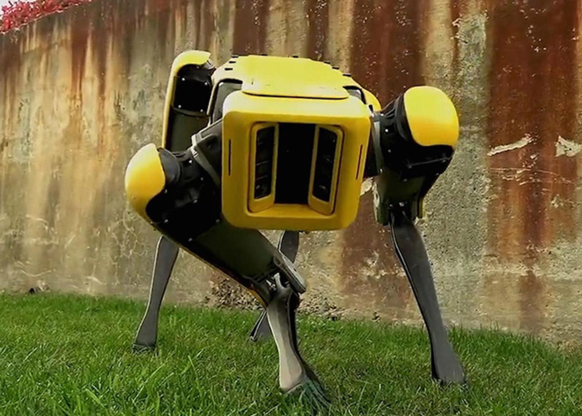 spotmini