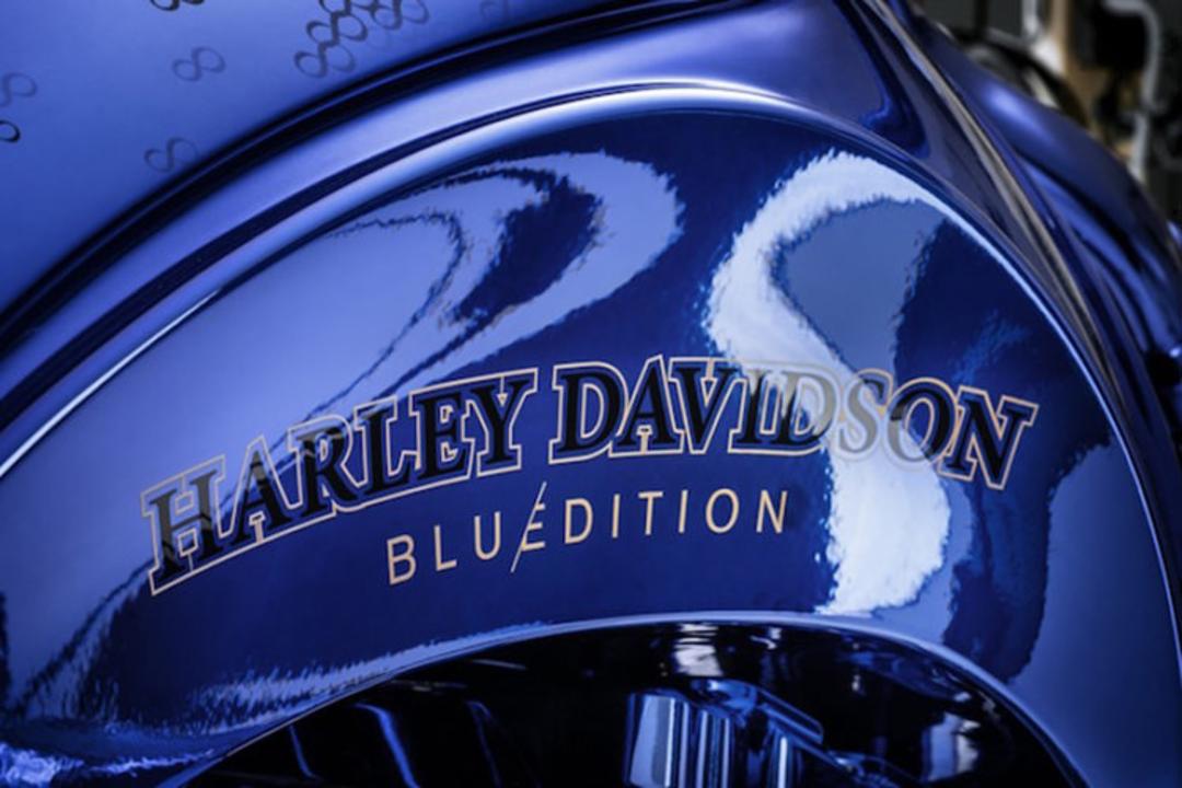 Harley-Davidson Softail motorcycle / موتورسیکلت هارلی دیویدسن سافتیل