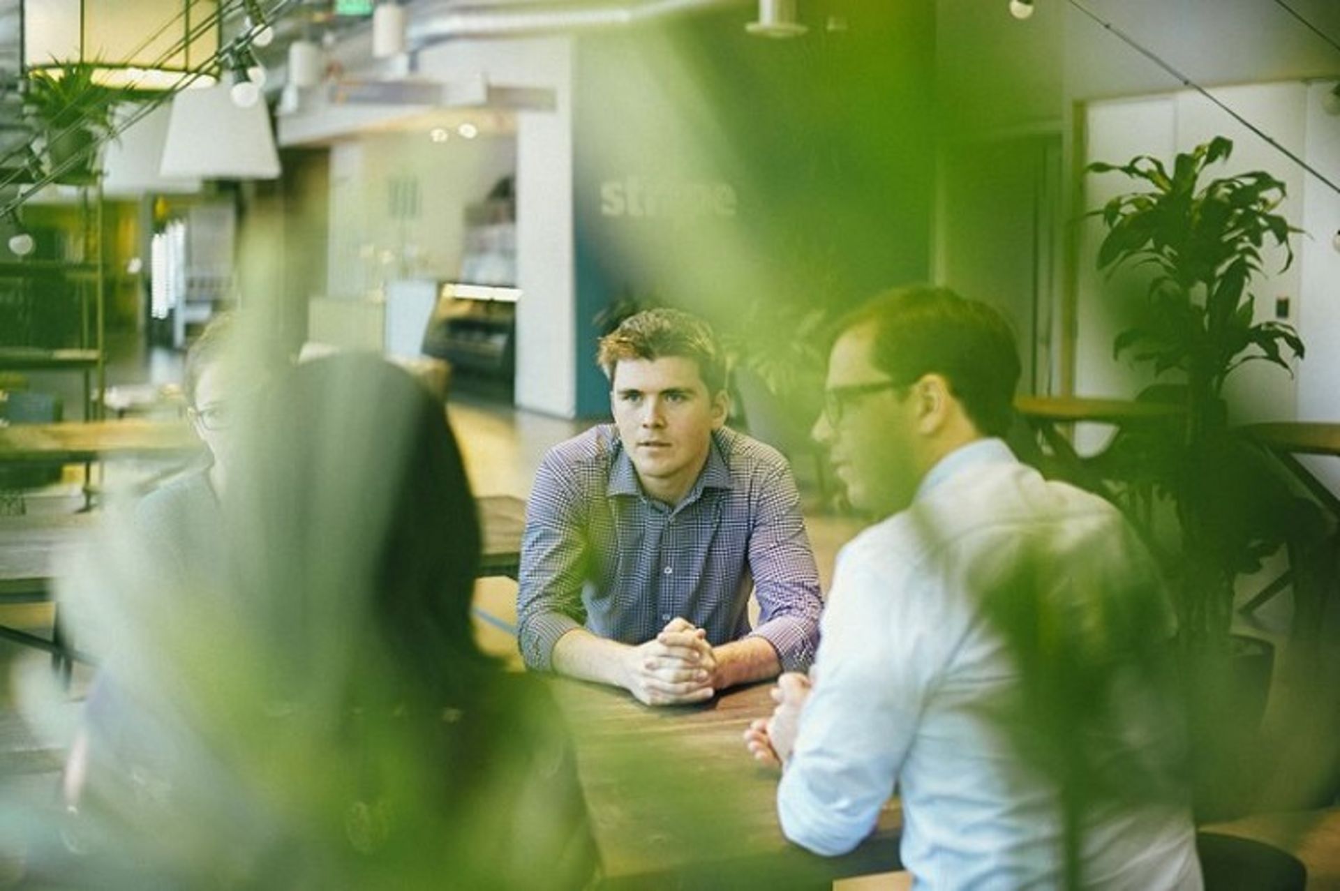 برادران کالیسون