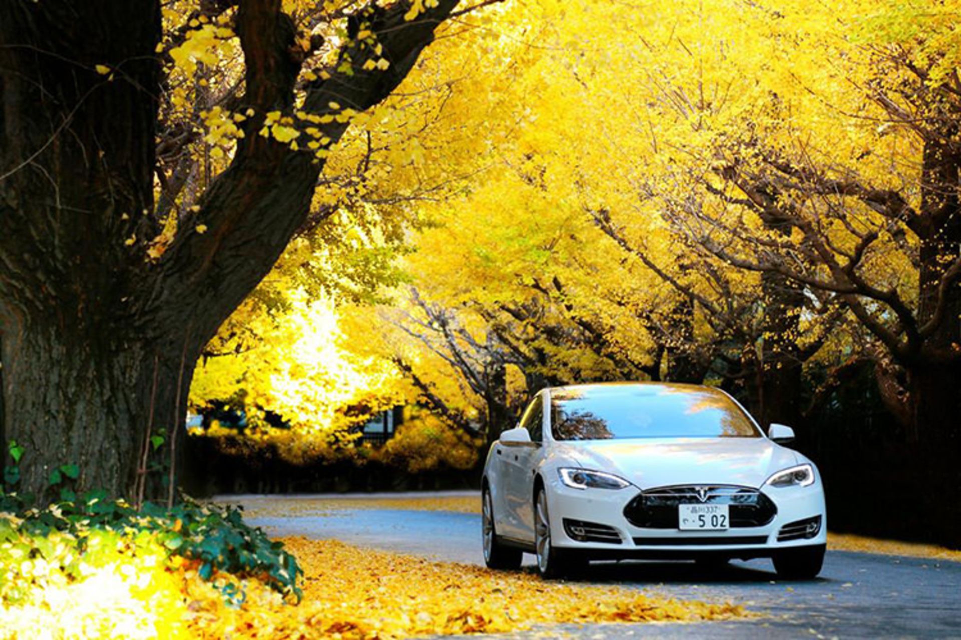 Tesla Model S / خودروی الکتریکی تسلا مدل S