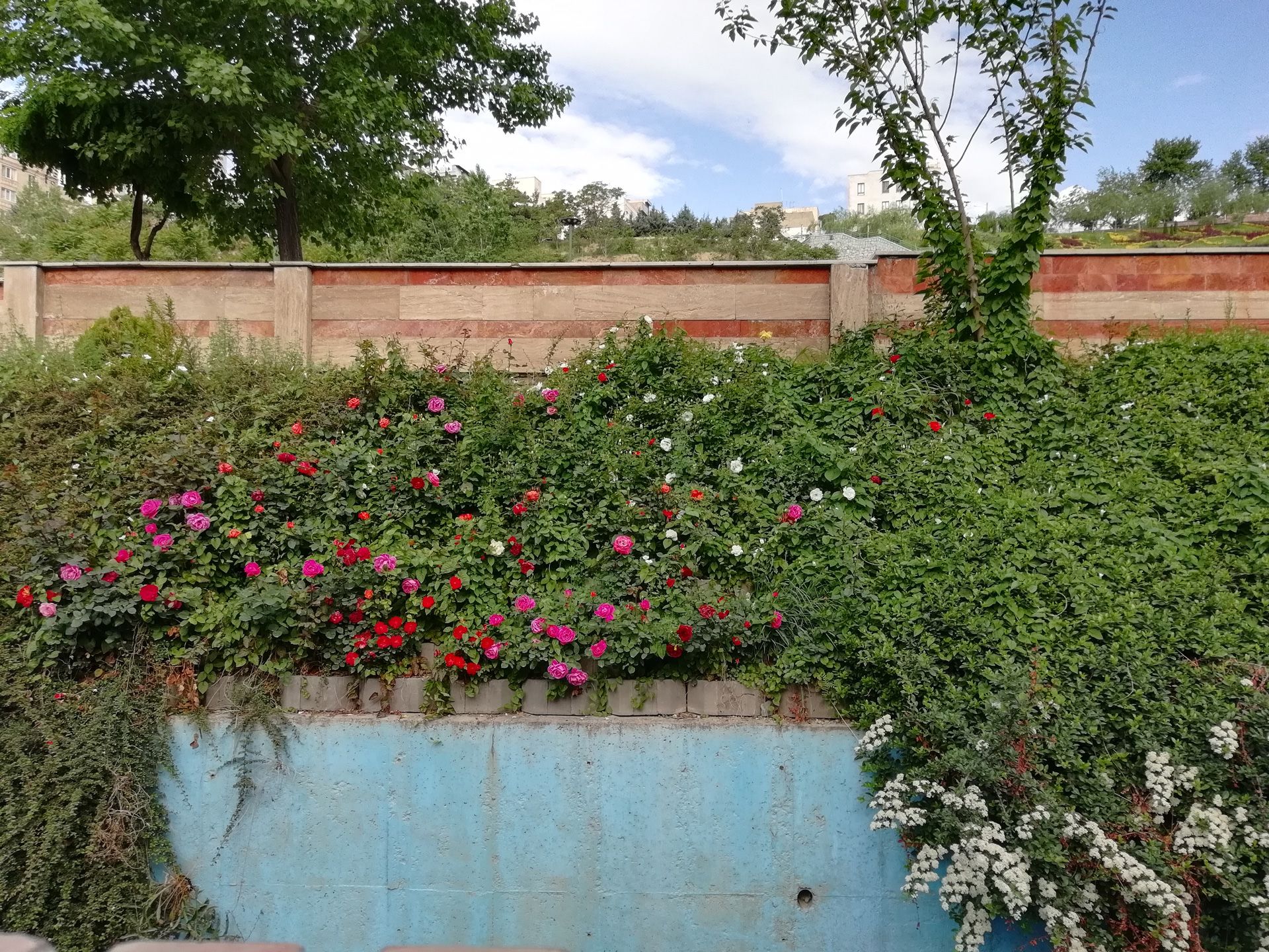 نمونه‌ تصاویر دوربین آنر ۹ لایت