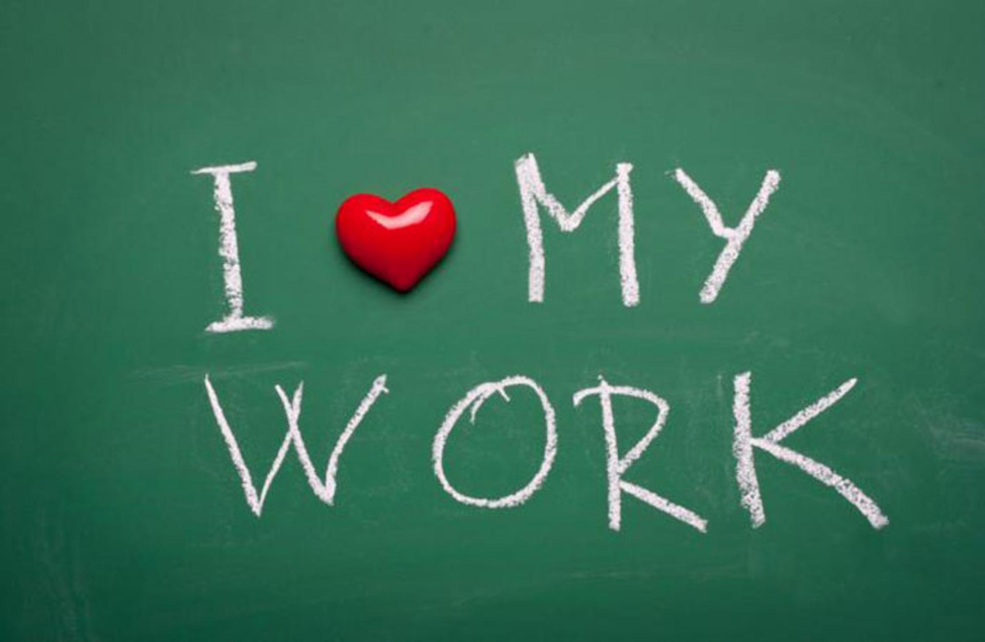 love my job