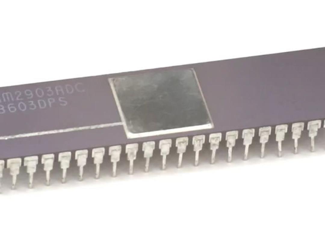amd