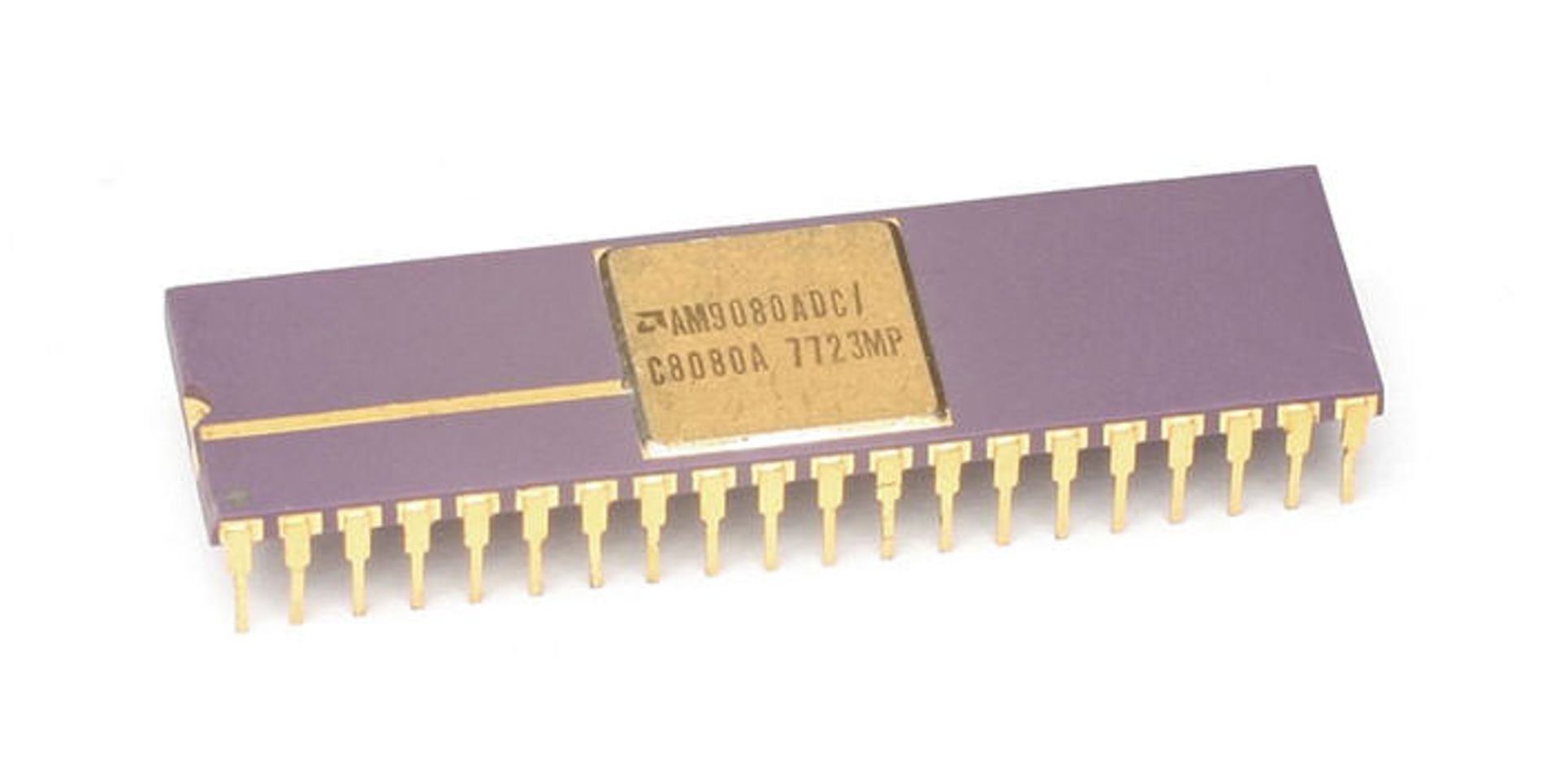 amd
