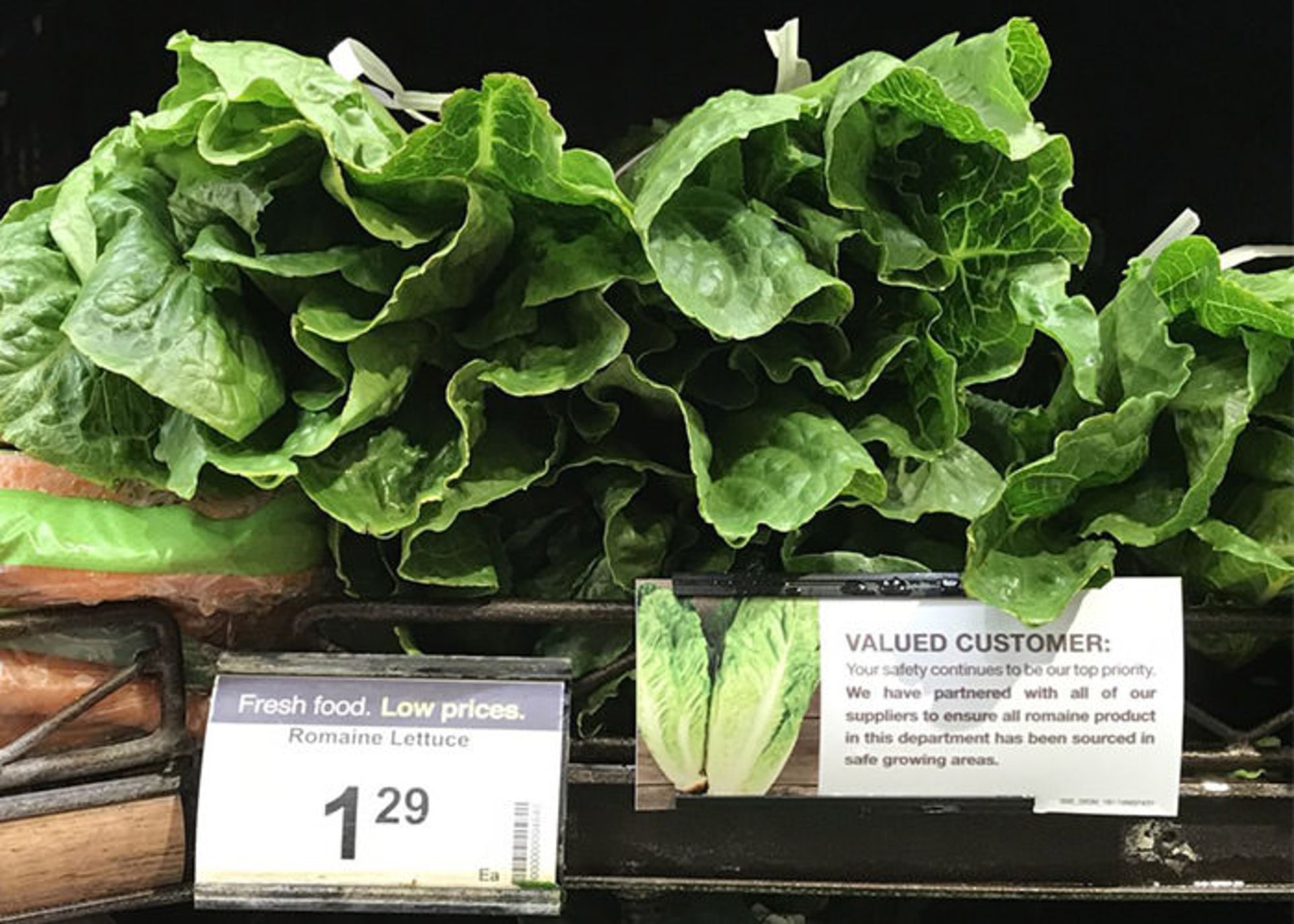 جلوگیری از مسمومیت غذایی