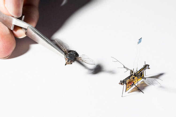 حشره رباتیک RoboFly با پرتوهای لیزر پرواز می‌کند - زومیت