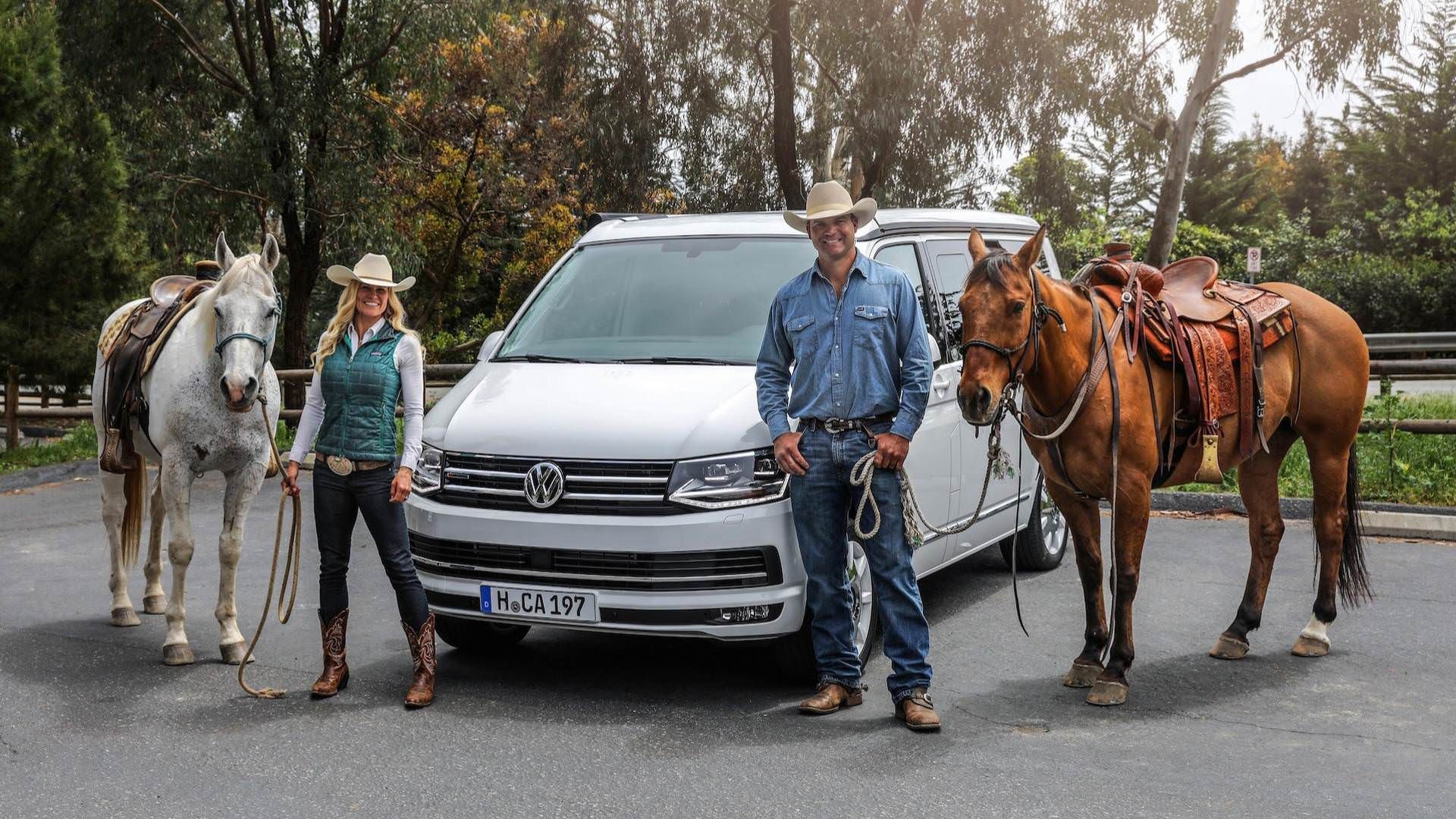 Volkswagen T6 California van / ون تفریحی فولکس‌واگن T6 کالیفرنیا