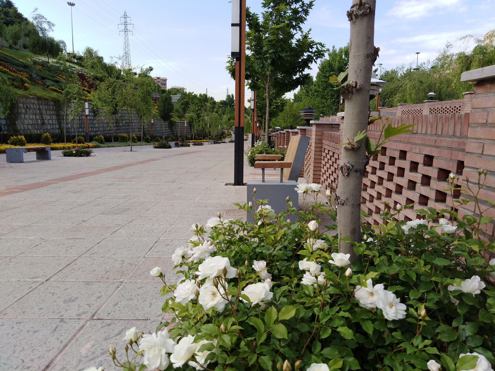 نمونه تصاویر ثبت‌شده با هواوی Y7 Prime 2018