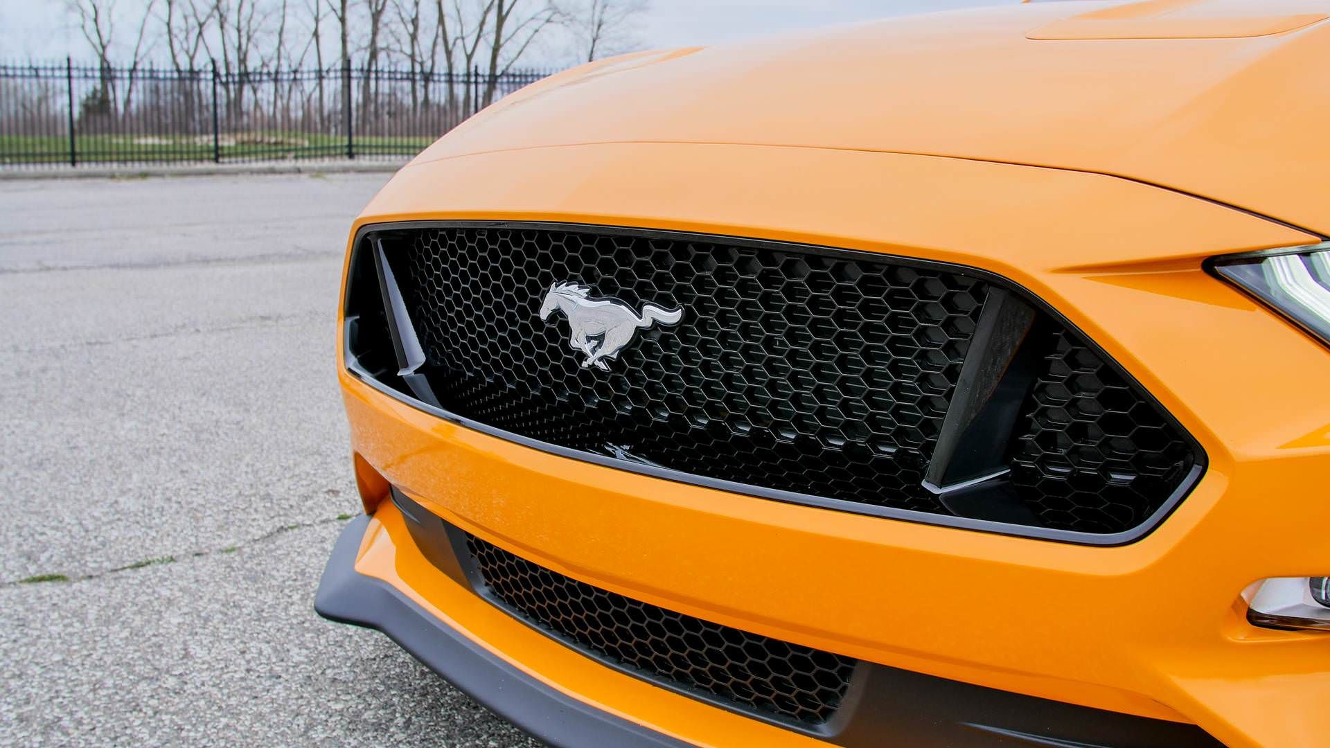 فورد موستانگ جی تی / Ford Mustang GT