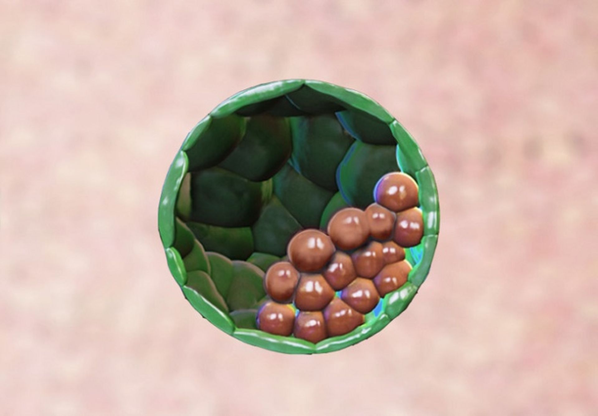 جنین مصنوعی