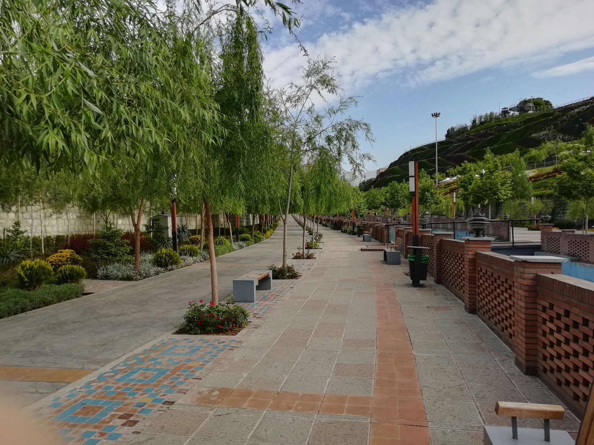 نمونه‌ تصاویر دوربین آنر ۹ لایت