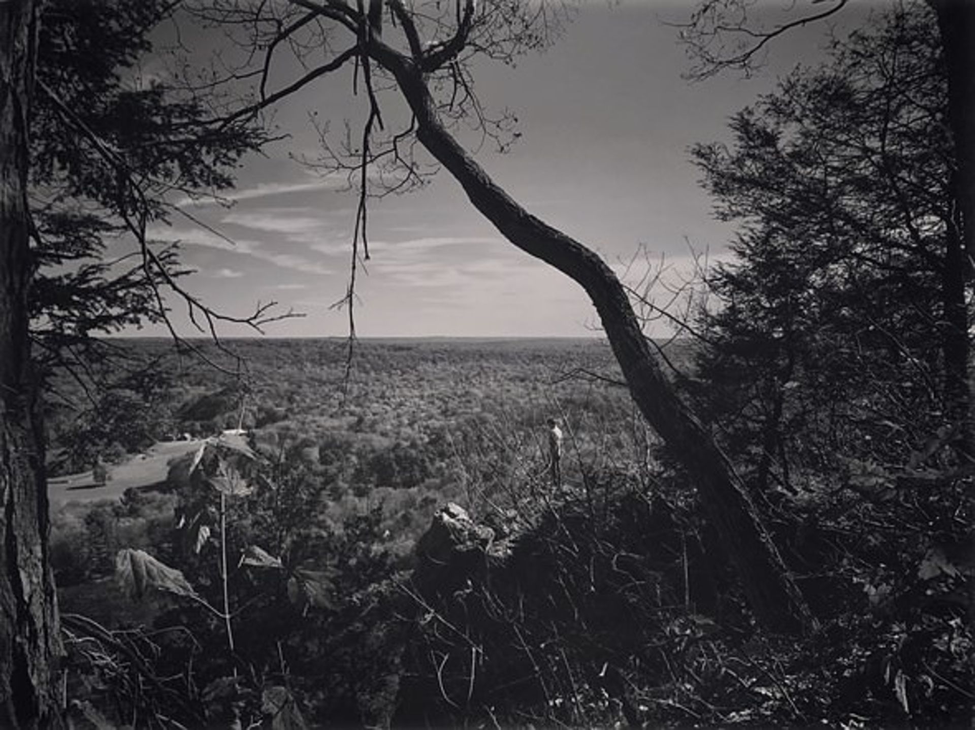 مسابقه عکاسی سال سونی 2018