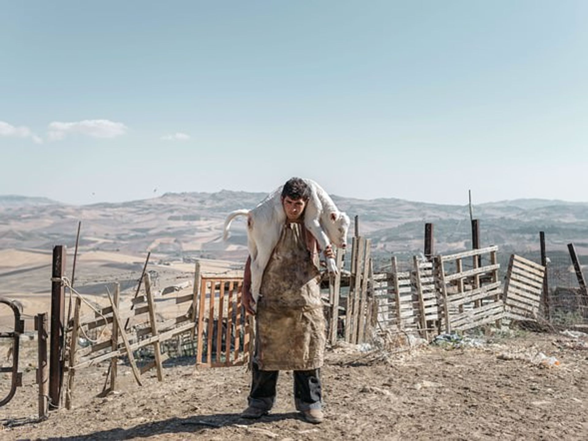 مسابقه عکاسی سال سونی 2018