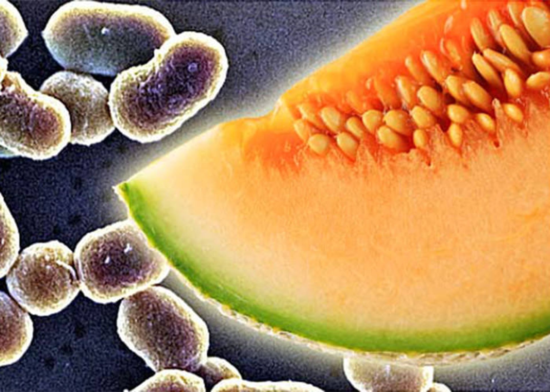 پوست میوه ها منبع آلودگی