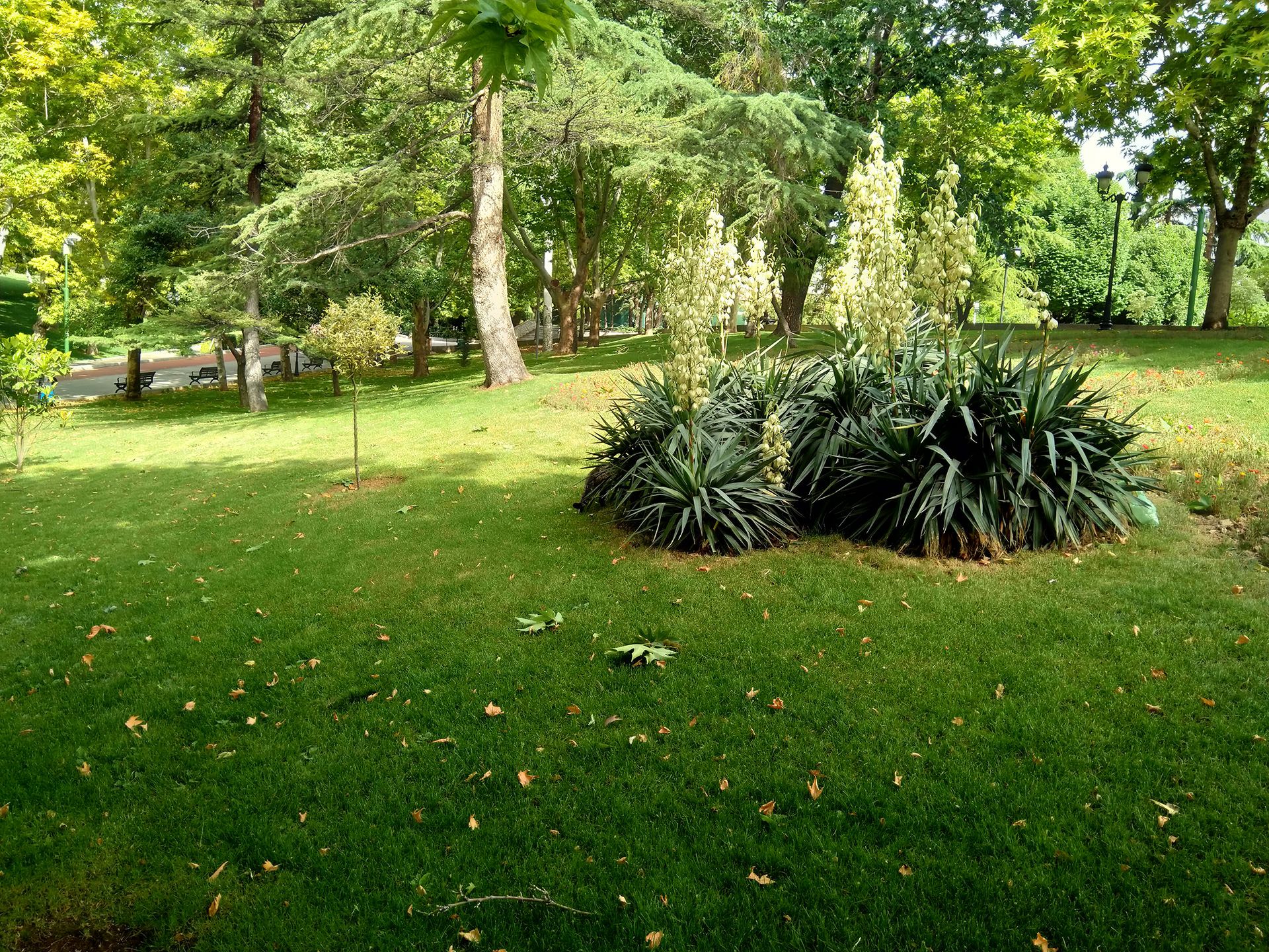 نمونه تصویر