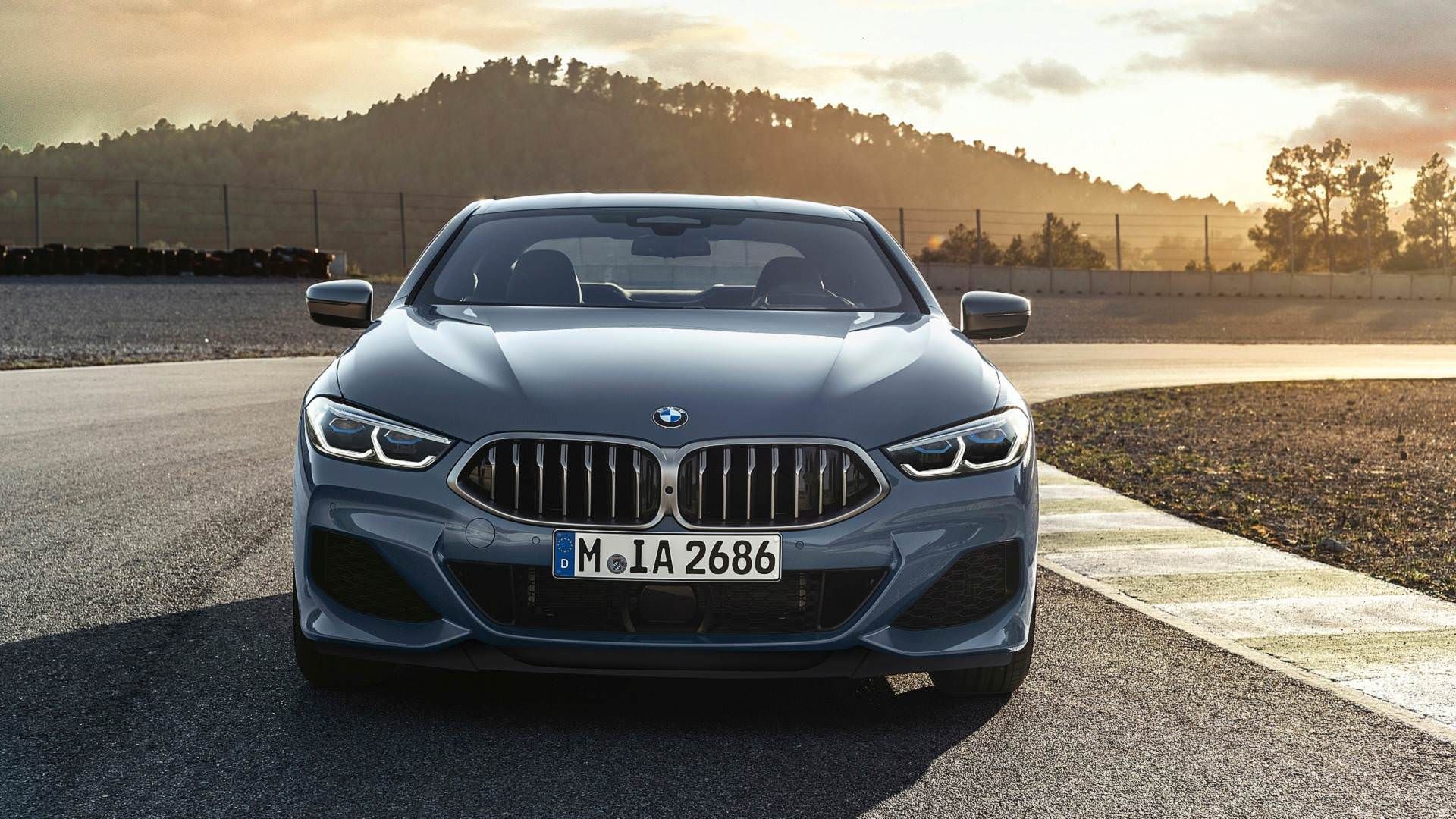 2019 BMW 8 Series coupe / بی‌ام‌و سری 8 مدل 2019
