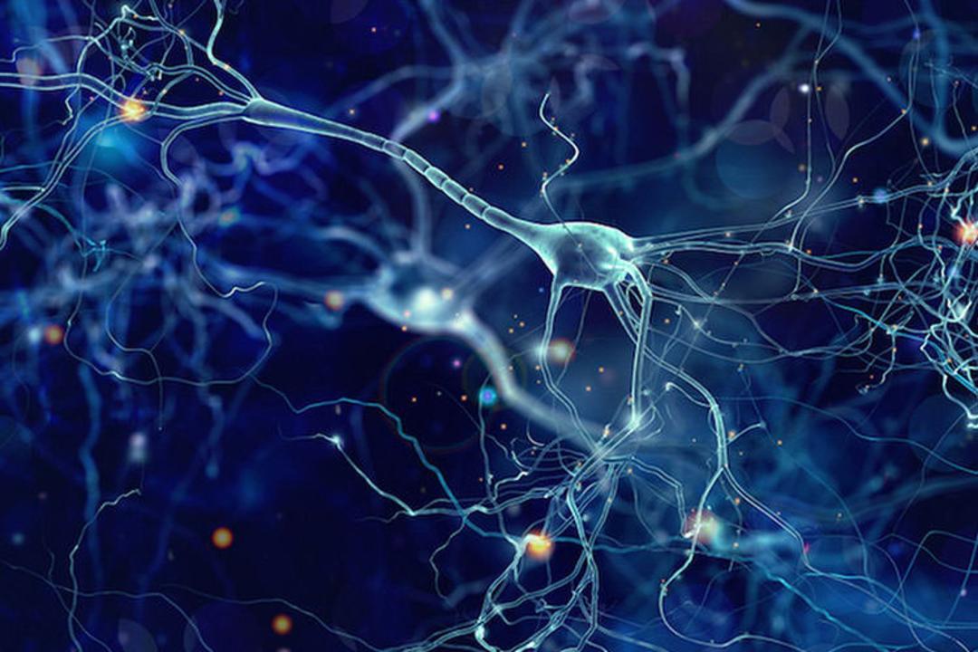artificial synapses / سیناپس مصنوعی
