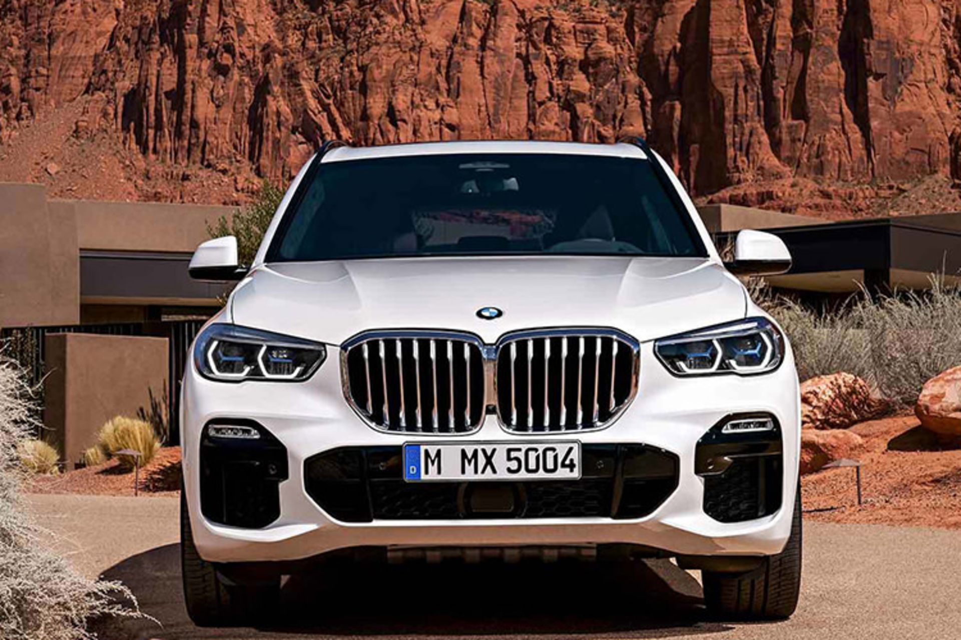 بی ام و / BMW X5 2019