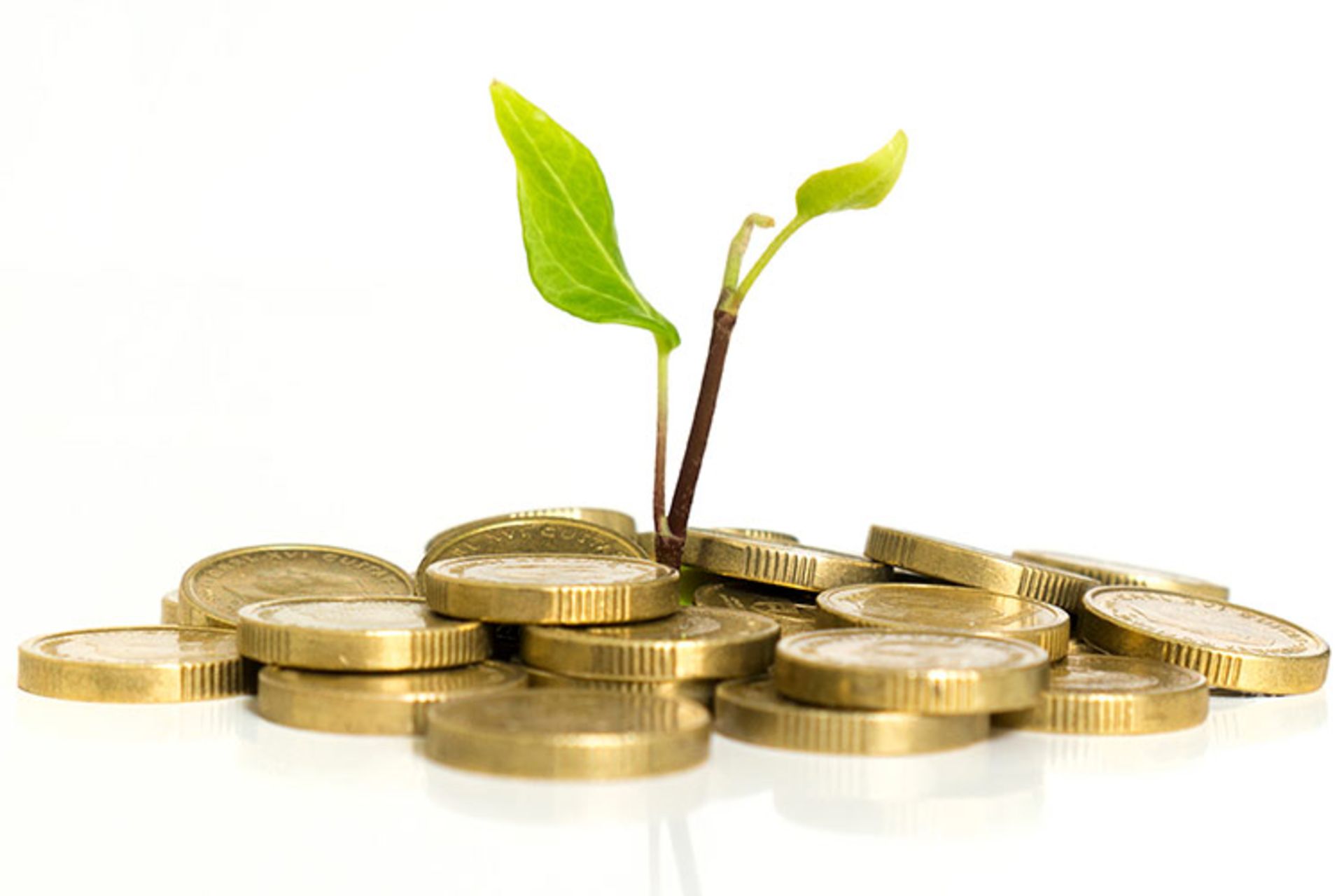 سرمایه‌گذاری