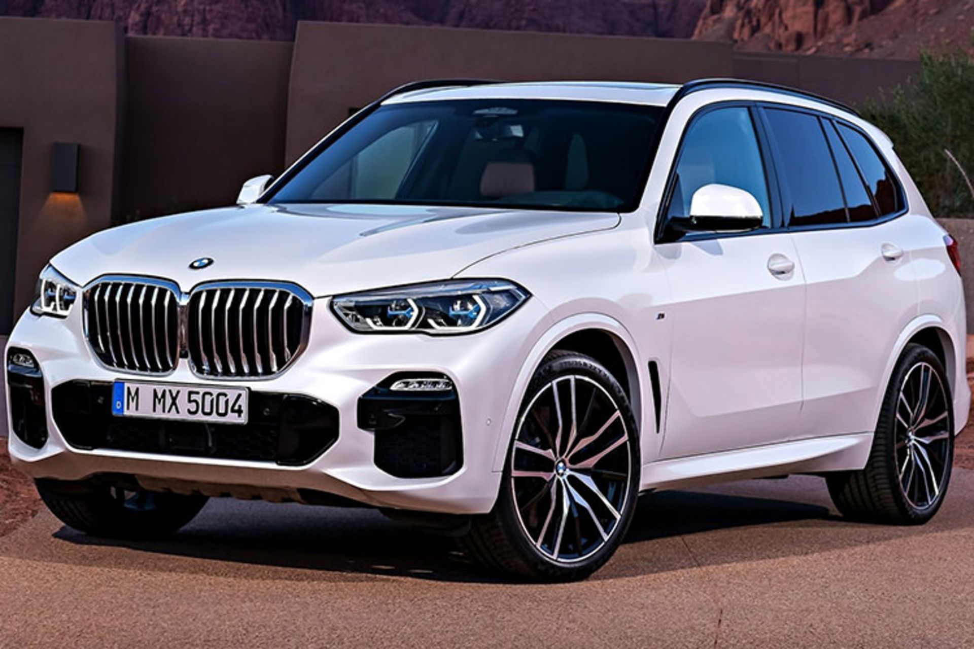 بی ام و / BMW X5 2019