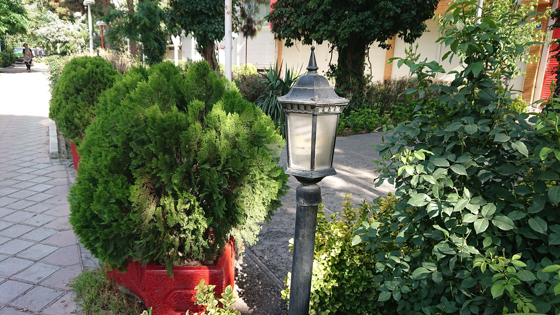 نمونه تصاویر ثبت‌شده با اکسپریا ایکس‌ زد ۲ کامپکت