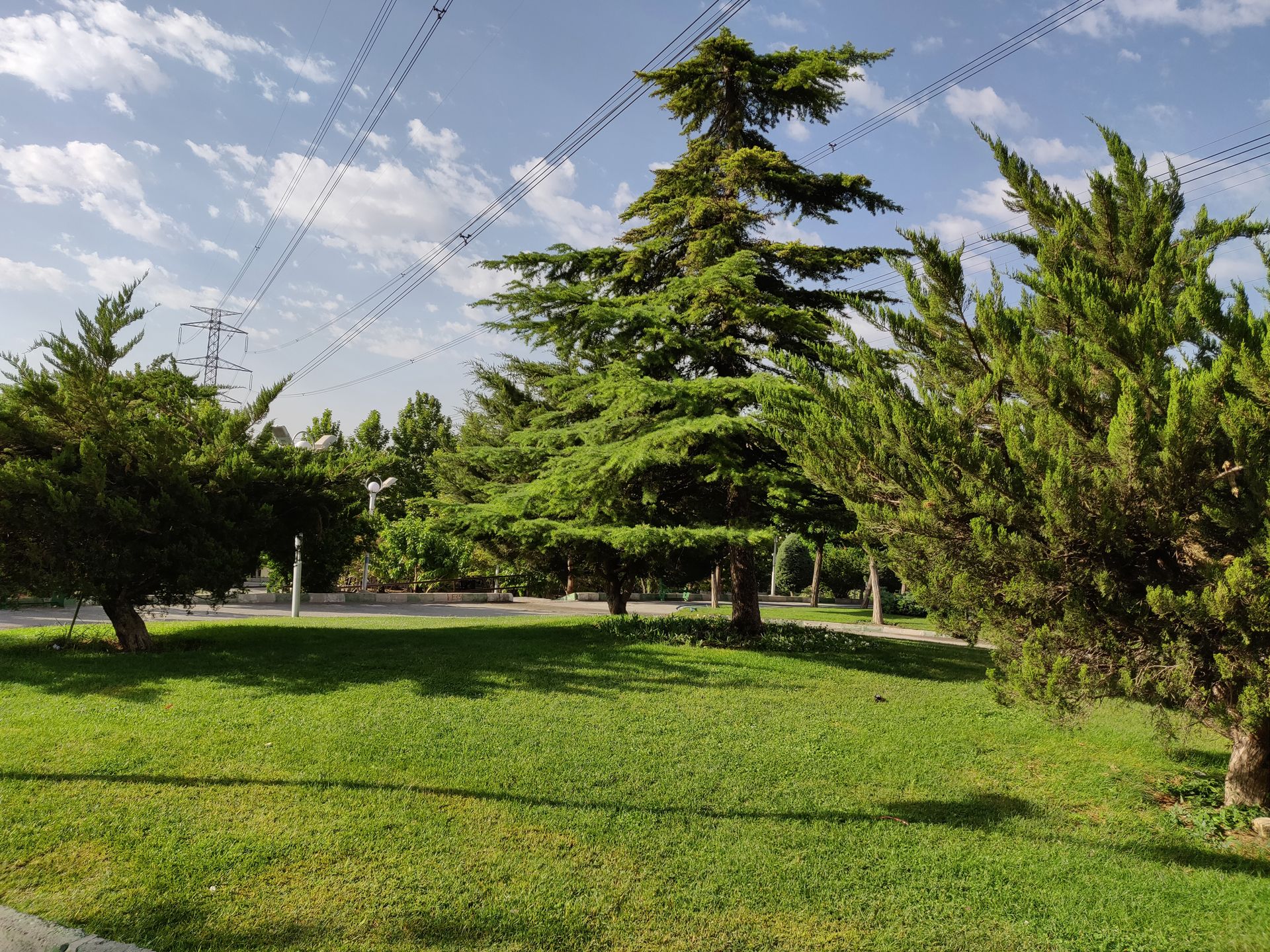 نمونه تصویر ثبت‌شده با وان پلاس 6