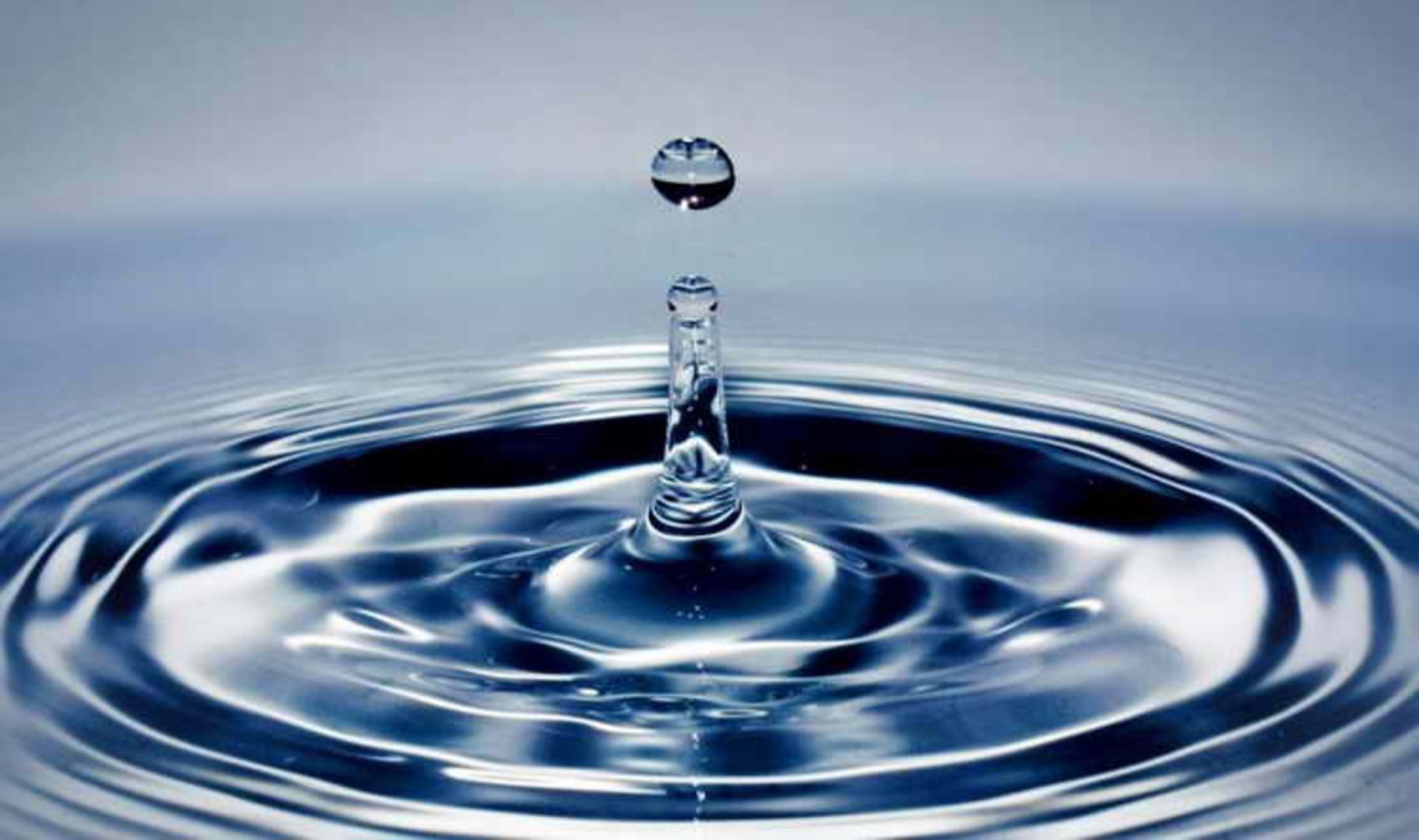 The Myth of the Intrapreneur