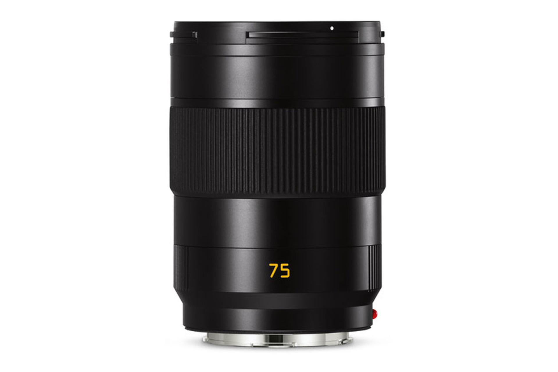 Leica APO-Summicron-SL 75mm F2 ASPH	