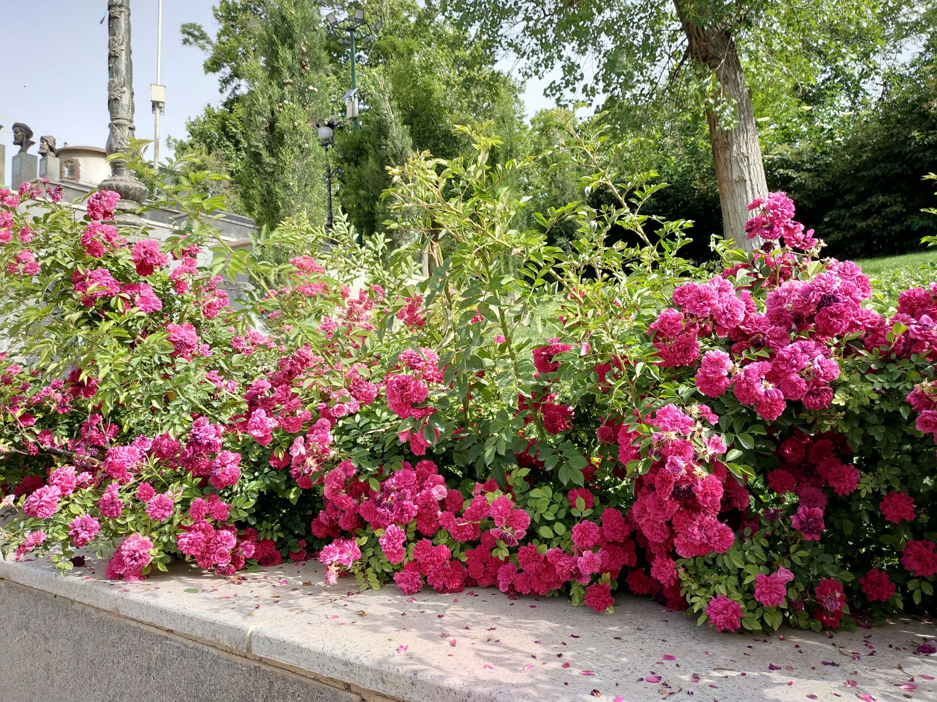 نمونه‌ی تصاویر ثبت شده با ردمی نوت ۵ شیائومی