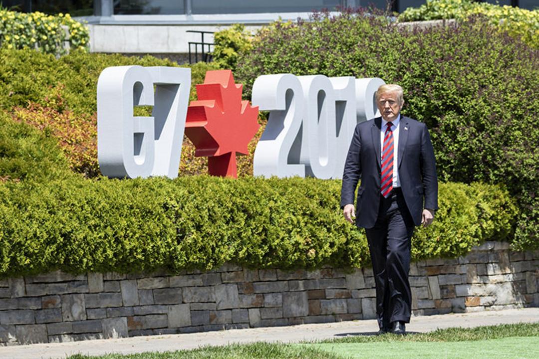 دونالد ترامپ / Trump