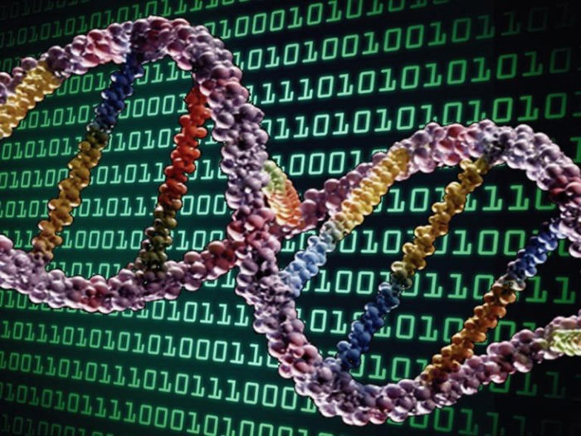 DNA